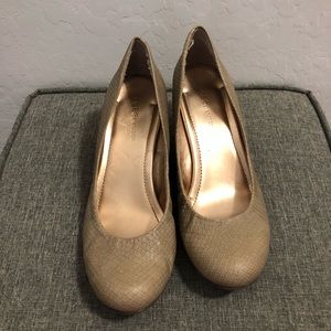 Bcbg round toe wedges